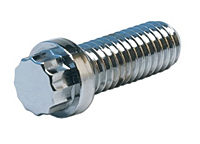 12-point-cap-screw-trans 12-point-cap-screw-trans