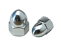 Acorn-Nuts-Trans