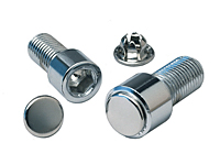 Allen-Hole-Plugs-Trans Allen-Hole-Plugs-Trans