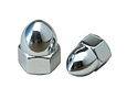 Acorn-Nuts-Trans